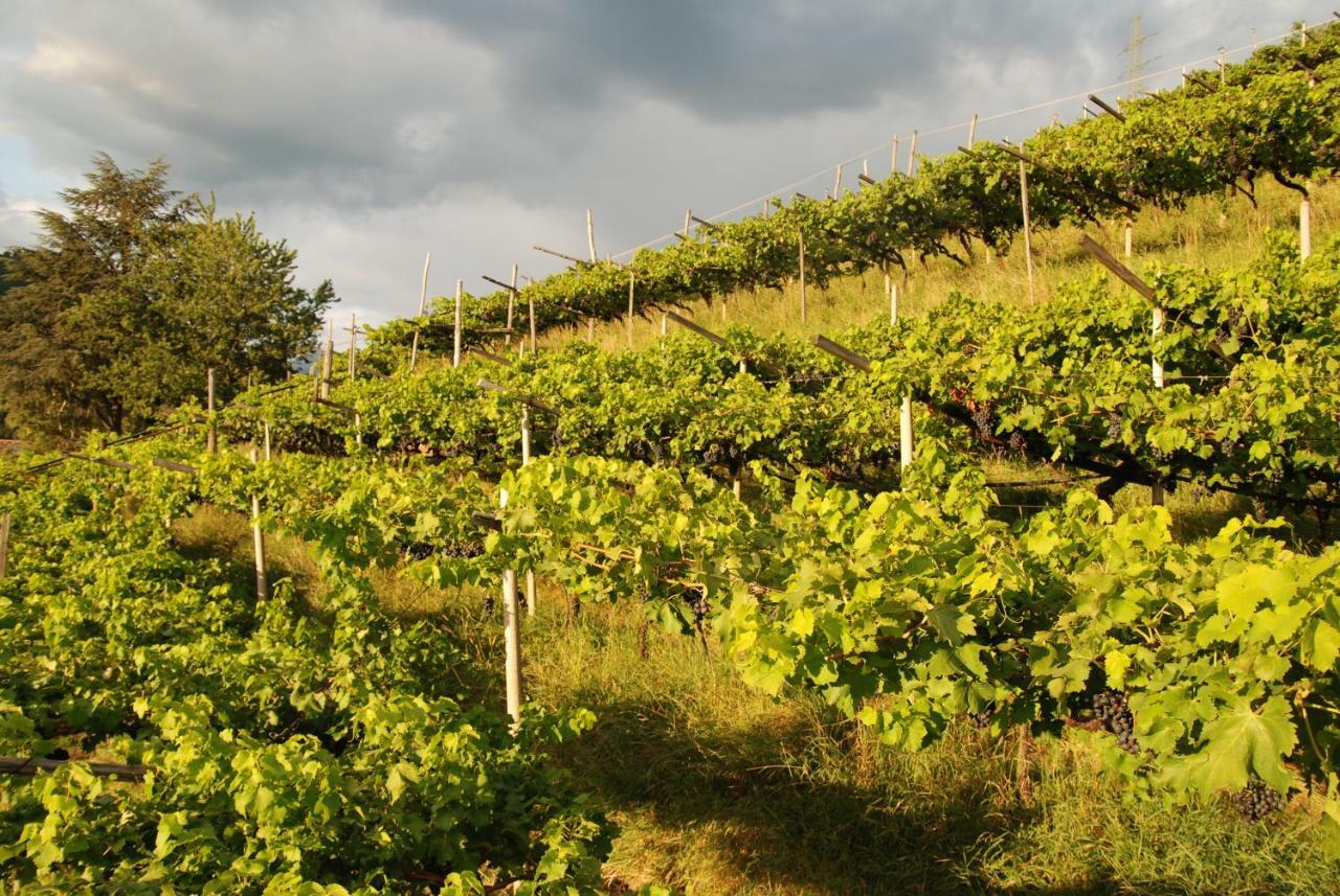 דירות בולצאנו Weingut Messnerhof מראה חיצוני תמונה