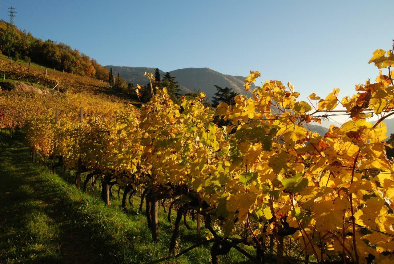 דירות בולצאנו Weingut Messnerhof מראה חיצוני תמונה